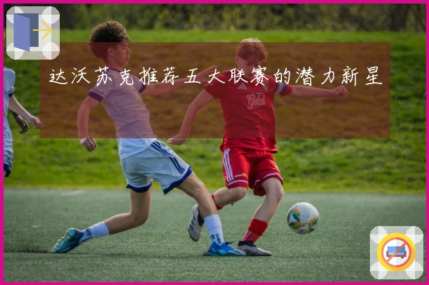 达沃苏克推荐五大联赛的潜力新星