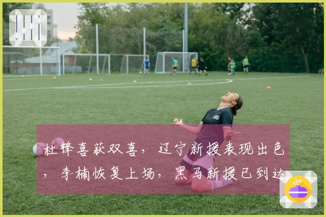杜锋喜获双喜，辽宁新援表现出色，李楠恢复上场，黑马新援已到达